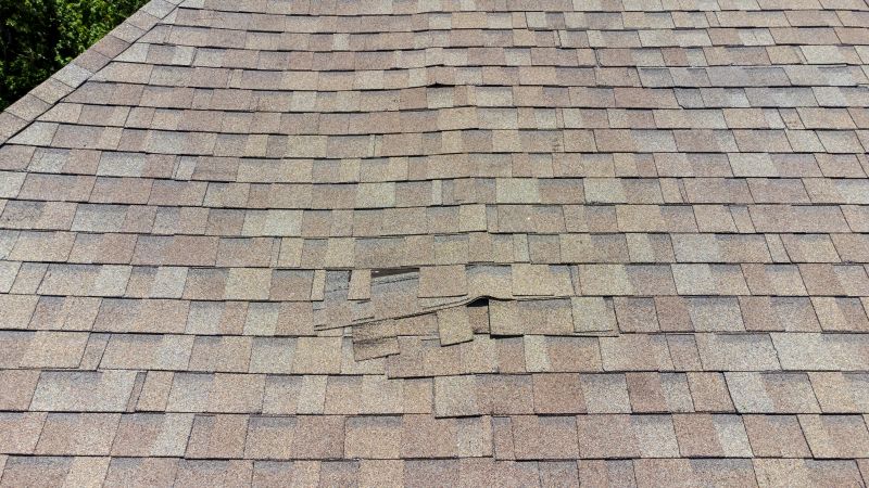 Shingle Damage Assessment