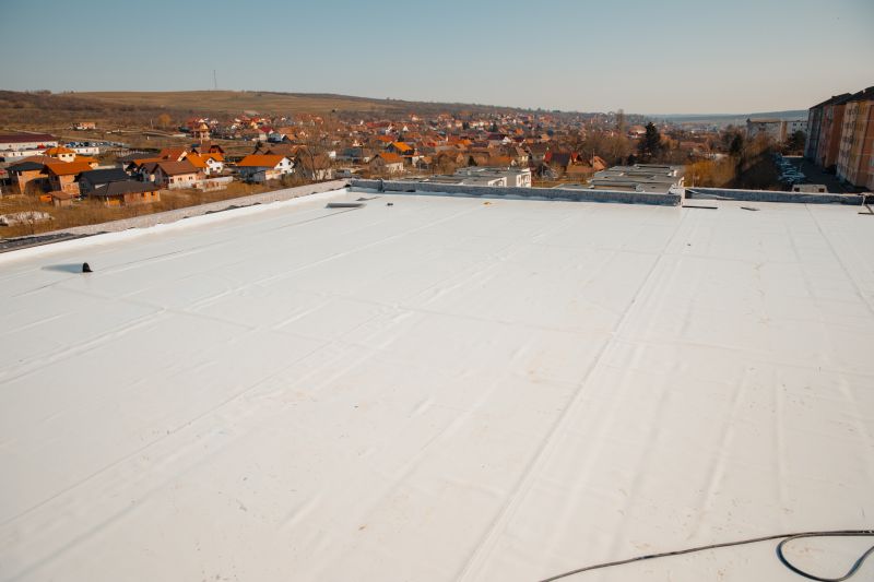 Spring Roofing